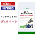 ブルーベリールテインプラス徳用　132粒 井藤漢方製薬 ブル-ベリ-ルテイン132ツブ