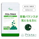 【ファイバーデー★半額★5/19朝9:59迄】 クロレラ MAX 約3か月分 T-725 (450粒) 送料無料 リプサ サプリメント ISA アイエスエー ビタミン マグネシウム