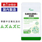 【最大1,000円OFFクーポン有】 乳酸菌生産物質＋酢酸菌 約1か月分 T-764 送料無料 ISA リプサ Lipusa サプリ サプリメント さくさん菌