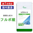 【GW 最大300円OFFクーポン有】 シラジット 約1か月分 T-769 送料無料 ISA リプサ Lipusa サプリ サプリメント フルボ酸 ミネラル 豊富 活力サポート