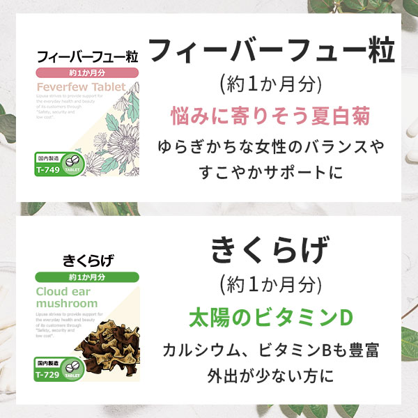 【ご新規様限定】 今月の2種類から選べるサプリ ご新規様向け 送料無料 500円 ワンコイン お試し リプサ サプリメント ISA アイエスエー 健康食品 美容 活力 ダイエット 8/3更新 GG isa-web-10002151 サプリメント専門店アイエスエー サンプル画像2