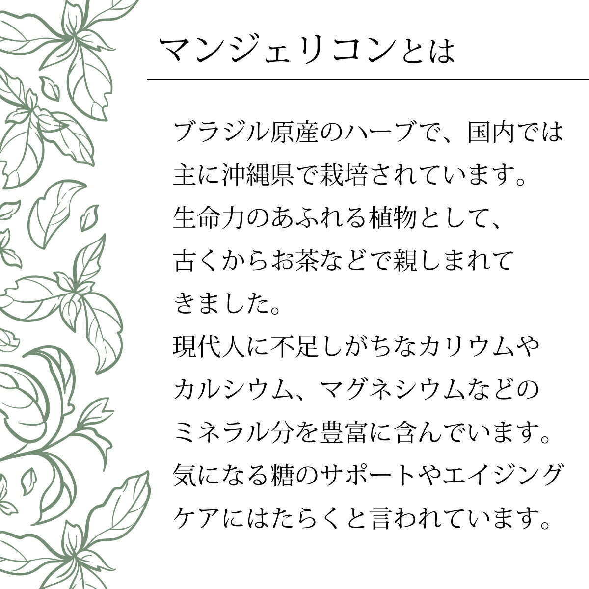 サンプル画像2