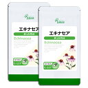  エキナセア 約1か月分×2袋 C-117-2 送料無料 ISA リプサ Lipusa サプリ サプリメント 健康維持 元気な毎日を応援