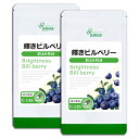 【GW！最大300円OFFクーポン有】 輝きビルベリー 約3か月分×2袋 C-136-2 送料無料 ISA リプサ Lipusa サプリ サプリメント アントシアニン 光ダメージ サポート