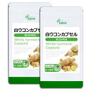 【最大12％OFFクーポン配布中】 白ウコンカプセル 約3か月分×2袋 C-168-2 送料無料 ISA リプサ Lipusa サプリ サプリメント ゼルンボン ハナショウガ 1