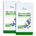  ブルーベリーエキス 約3か月分×2袋 C-169-2 送料無料 ISA リプサ Lipusa サプリ サプリメント 豊かなフルーツ文化 ポーランド産 ブルーベリー 使用 約半年分