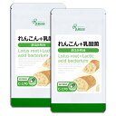 【最大12％OFFクーポン配布中】 れんこん＋乳酸菌 約3か月分×2袋 C-170-2 送料無料 ISA リプサ Lipusa サプリ サプリメント 食物繊維