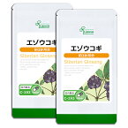 【最大250円OFFクーポン配布中】 エゾウコギ 約3か月分×2袋 C-193-2 送料無料 ISA リプサ Lipusa サプリ サプリメント 活力 健康維持