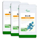 【公式】 カンカ 約1か月分×3袋 C-196-3 送料無料 ISA リプサ Lipusa サプリ サプリメント 活力 健康維持