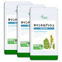 【スーパーSALE 20%OFF】 キャンドルブッシュ 約1か月分×3袋 C-207-3 (90カプセル×3袋) 送料無料 リプサ サプリメント ISA アイエスエー ダイエットサプリ ハネセンナ 《単品より10%お得》
