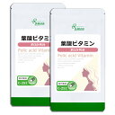  葉酸ビタミン 約3か月分×2袋 C-252-2 送料無料 ISA リプサ Lipusa サプリ サプリメント ビタミンM 大豆イソフイラボン 配合