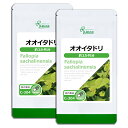  オオイタドリ 約3か月分×2袋 C-304-2 送料無料 ISA リプサ Lipusa サプリ サプリメント 健康維持 サポート