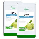  グァバ 約3か月分×2袋 C-404-2 送料無料 ISA リプサ Lipusa サプリ サプリメント 蕃石榴 バンジロウ 南国 トロピカルフルーツ