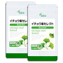  イチョウ葉セレクト 約3か月分×2袋 C-509-2 送料無料 ISA リプサ Lipusa サプリ サプリメント 銀杏葉 ギンコライド