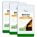【最大8%OFFクーポン配布中】 漢のチカラ 約1か月分×3袋 T-642-3 (120粒×3袋) 送料無料 リプサ サプリメント ISA アイエスエー エゾウコギ ヒハツ 約3か月分 《単品より10%お得》