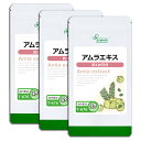【最大1,000円OFFクーポン&ポイント最大20倍】 アムラエキス 約1か月分×3袋 T-676-3 (150粒×3袋) 送料無料 リプサ サプリメント ISA アイエスエー ビタミンC 《単品より10%お得》