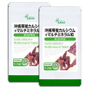  沖縄珊瑚カルシウム＋マルチミネラル粒 約3か月分×2袋 T-700-2 送料無料 ISA リプサ Lipusa サプリ サプリメント 食事で不足 を補う