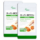 【118円OFFクーポン配布中】 スーパー秋ウコン 約3か月分×2袋 T-711-2 送料無料 ISA リプサ Lipusa サプリ サプリメント 秋うこん