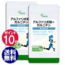 【ポイント10倍】 アルファリポ酸＋カルニチン 約3か月分×2袋 C-205-2 送料無料 リプサ Lipusa サプリ サプリメント