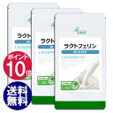 【ポイント10倍】 ラクトフェリン 約1か月分×3袋 C-3...
