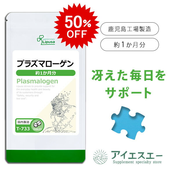 50OFF 12/5 024ָ ץ饺ޥ 1ʬ T-733 (30γ) ̵ ץ ץ ISA  ǯȤȤ˸ʬ ץǼڤˡ