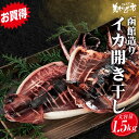 【9/10限定★抽選で2人に1人最大100%ポイントバック★要エントリー】函館造り いか開き干し 合計1.5kg イカ飯 いか焼き 函館 シーフードカレー パスタ 醤油バター炒め 珍味 干物 おつまみ 海の幸 海鮮 大量 北海道 贈り物 イカ