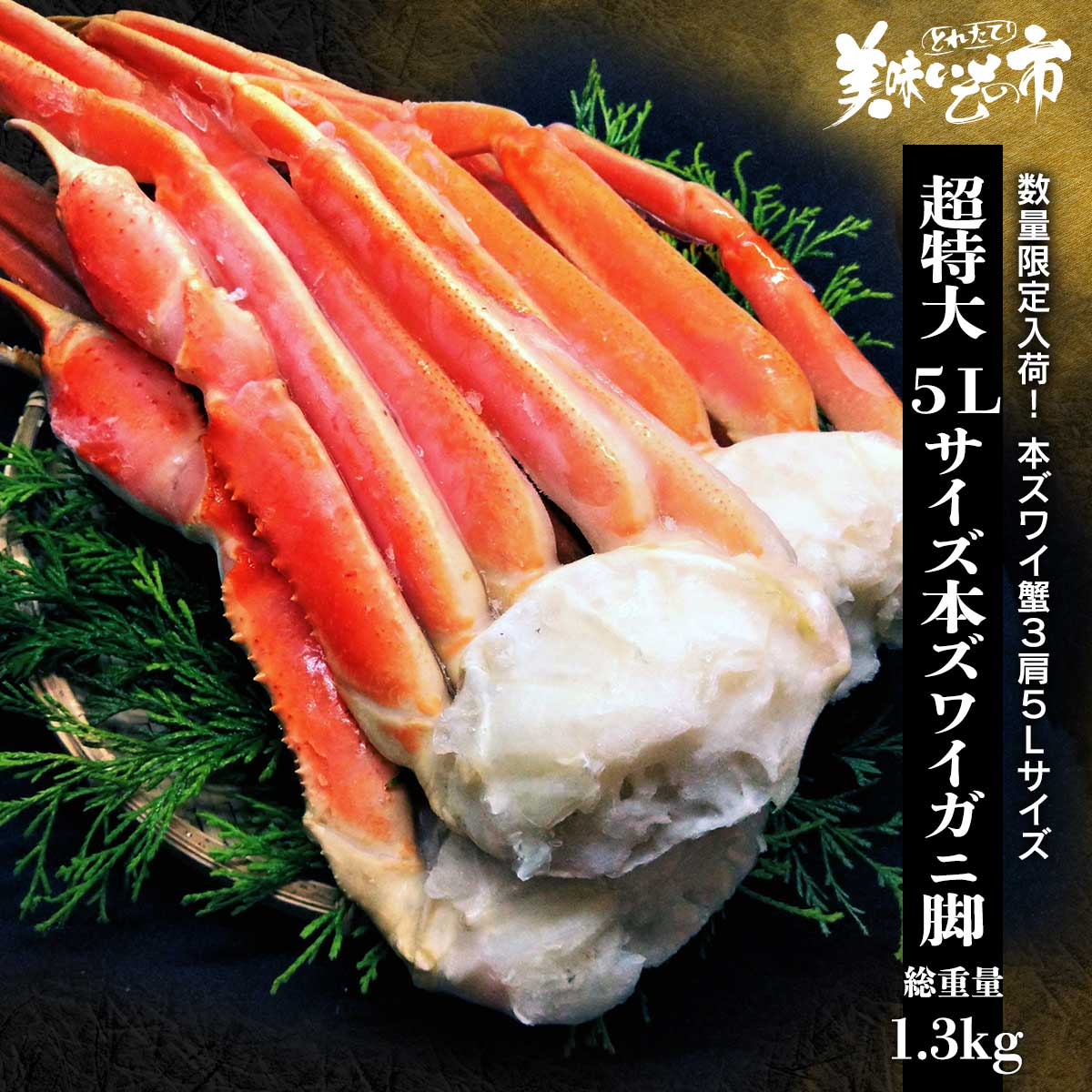 ★超特大 5Lサイズ本ズワイガニ脚 総重量1.3kg 食べ放題 たらば蟹 蟹味噌 毛蟹 香箱蟹 松葉蟹 バイキング ずわい蟹 鍋 激安 ズワイガニ 蟹 刺身 ギフト ハレの日 お正月 贈り物 かにしゃぶ 蟹脚 むき身 うまいもん市 カニ 訳あり ズワイガニ 訳あり うまいもの市のサムネイル