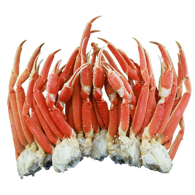 【訳ありアウトレットセール】特盛 2Lサイズ 本ズワイ蟹脚 総重量2.5kg 8～9肩「ねこぶだし」でおなじみ「とれたて！美味いもの市」から登場 isa-10003667 ACショップ サンプル画像3