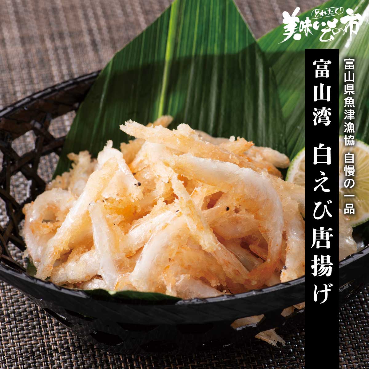 魚津 富山湾白えび唐揚げ「ねこぶだし」でおなじみ「とれたて！美味いもの市」から登場