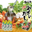 【公式】美味いもの市 やさいだし 450ml 2本・6本・12本 和風 洋風 中華 漬物 ポトフ チキンソテー ナポリタン テレビショッピング 液体出汁 やさい...