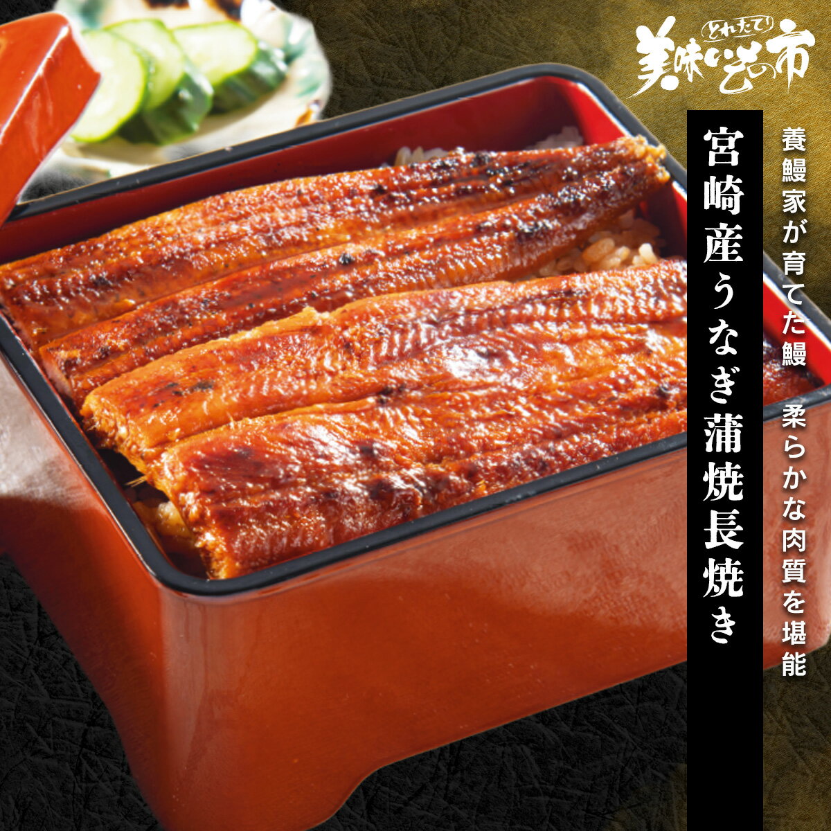 宮崎産うなぎ蒲焼長焼き「ねこぶだし」でおなじみ「とれたて！美味いもの市」から登場