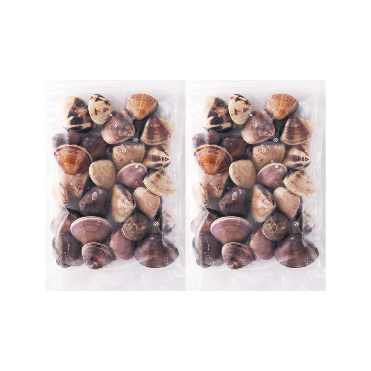 �彽��Τ�� �Ϥޤ���֤ͤ��֤����פǤ��ʤ��ߡ֤Ȥ줿�ơ���̣����λԡפ����о�