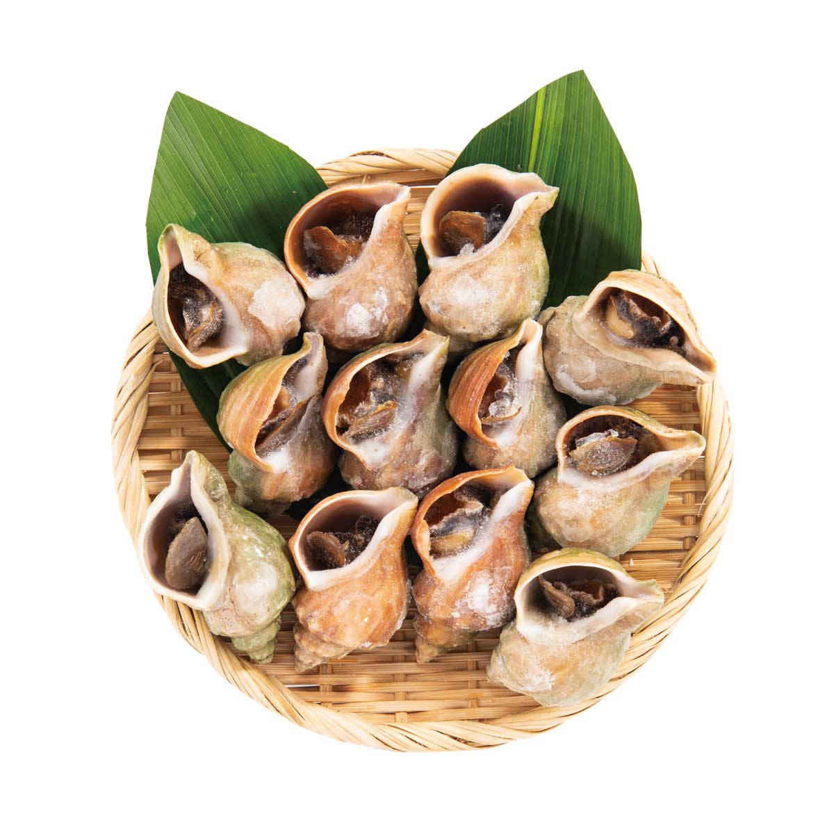 �ھ�̣���´ֶᥢ���ȥ�åȥ�������̳�ƻ�� ŷ���ĤĤ�1kg�֤ͤ��֤����פǤ��ʤ��ߡ֤Ȥ줿�ơ���̣����λԡפ����о�