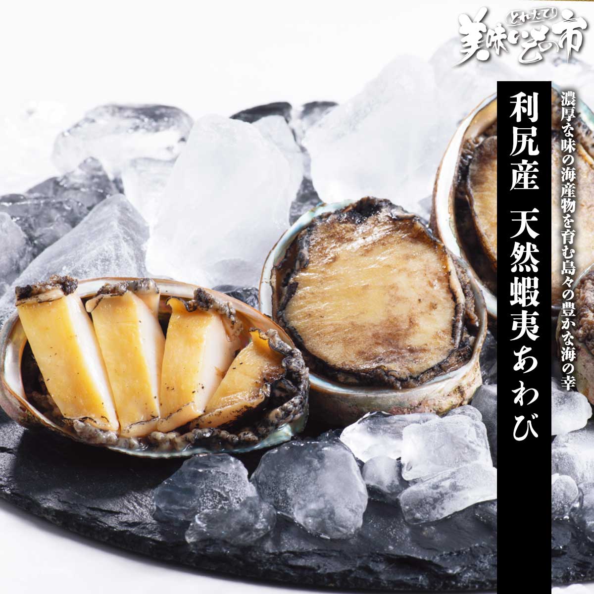 利尻産 天然蝦夷あわび「ねこぶだし」でおなじみ「とれたて！美味いもの市」から登場