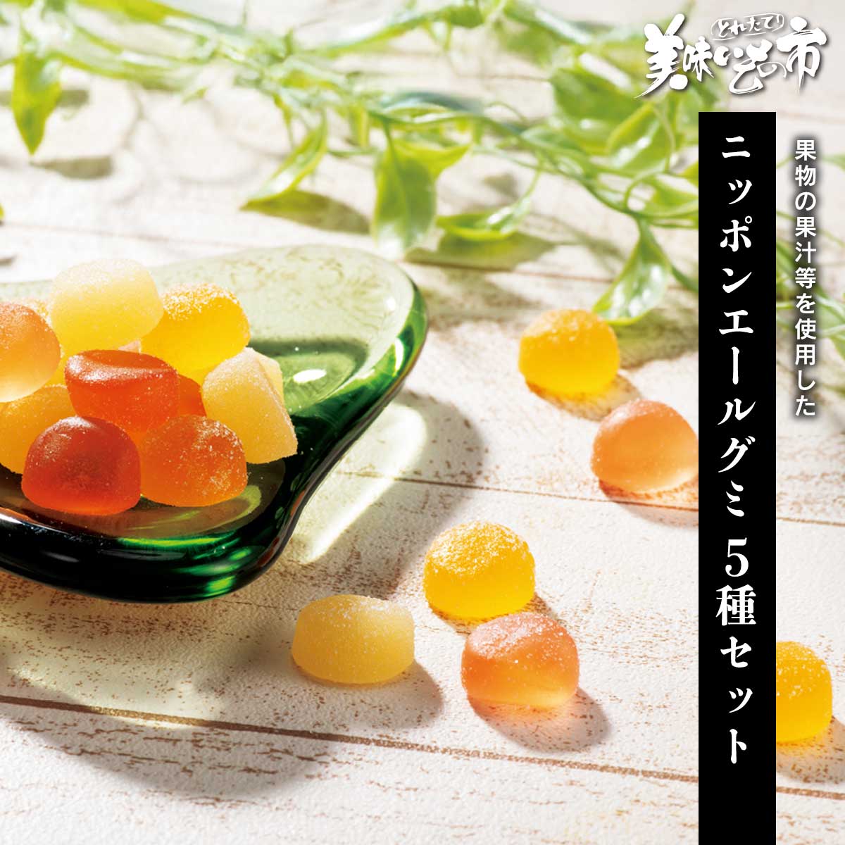 ニッポンエールグミ 5種セット「ねこぶだし」でお...の商品画像