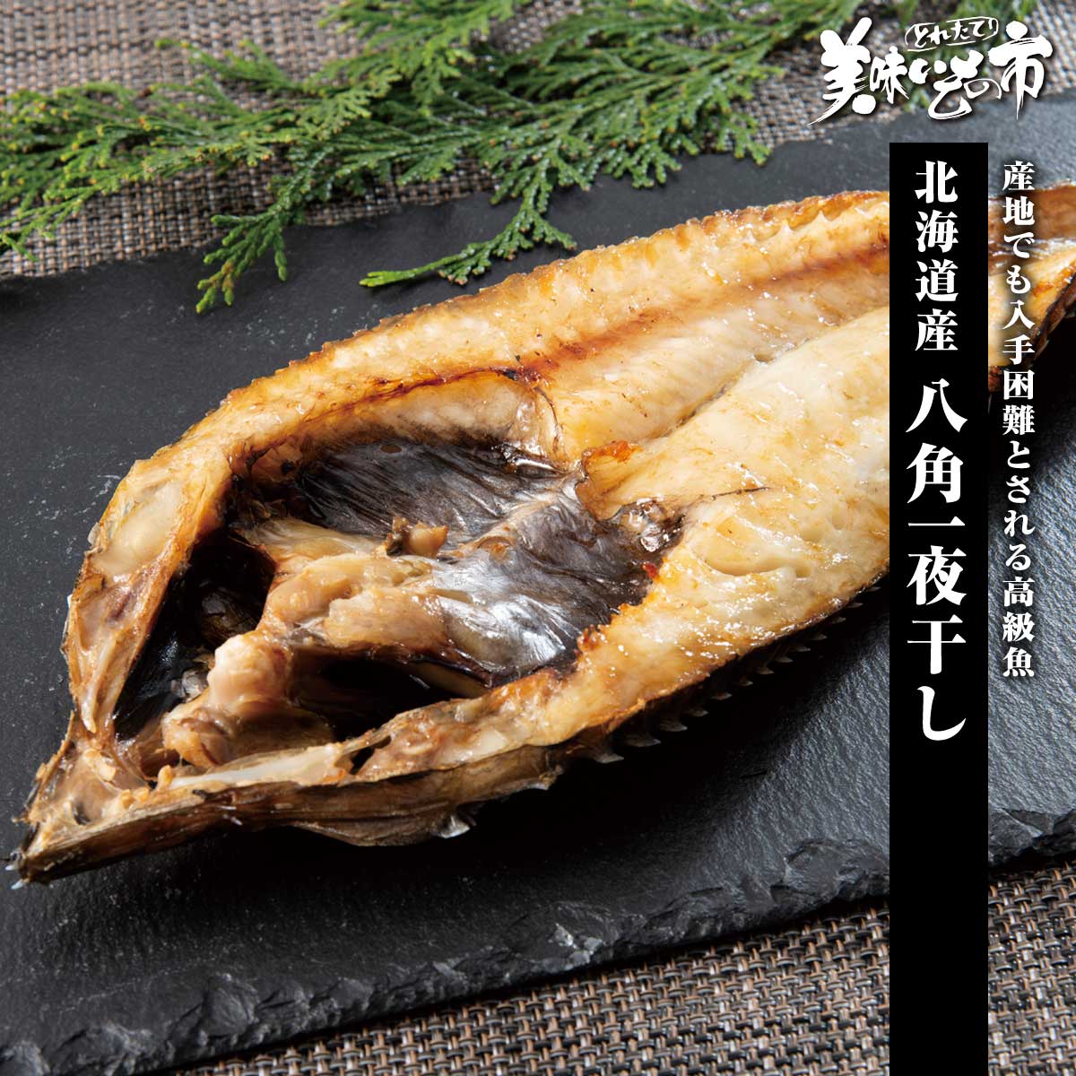 乐天商城 - 北海道産 八角一夜干し「ねこぶだし」でおなじみ「とれたて！美味いもの市」から登場