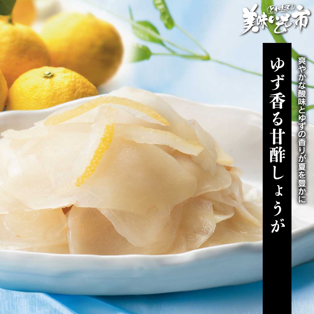 Ginger - ゆず香る甘酢しょうが「ねこぶだし」でおなじみ「とれたて！美味いもの市」から登場