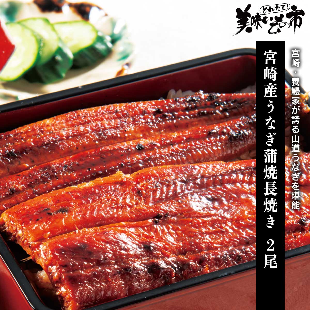 乐天商城 - 宮崎産うなぎ蒲焼長焼き 2尾「ねこぶだし」でおなじみ「とれたて！美味いもの市」から登場