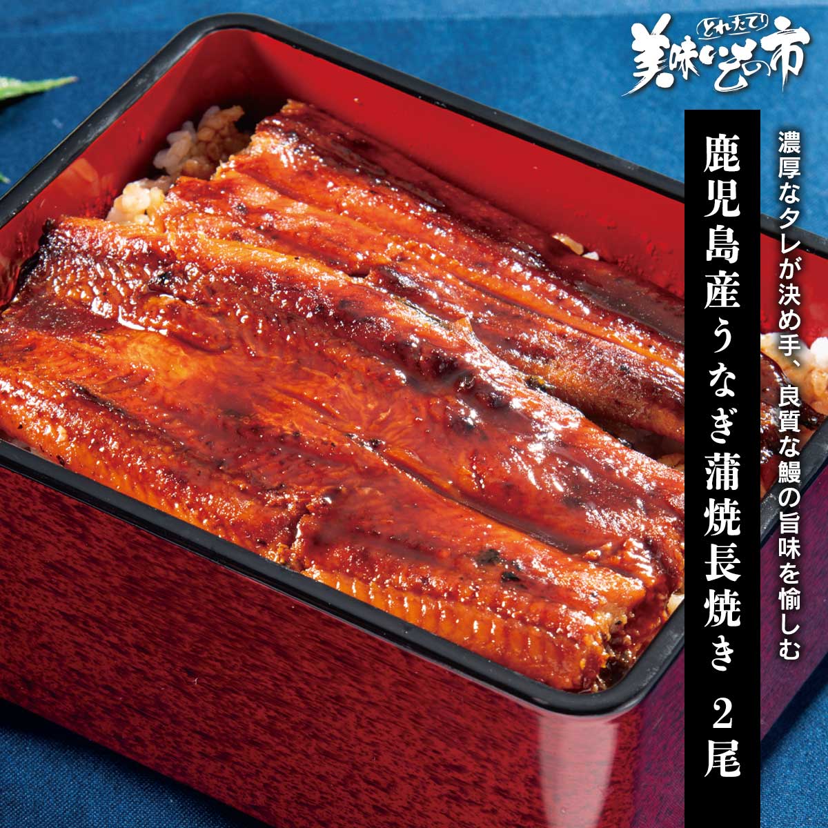 樂天商城 - 鹿児島産うなぎ蒲焼長焼き 2尾「ねこぶだし」でおなじみ「とれたて！美味いもの市」から登場