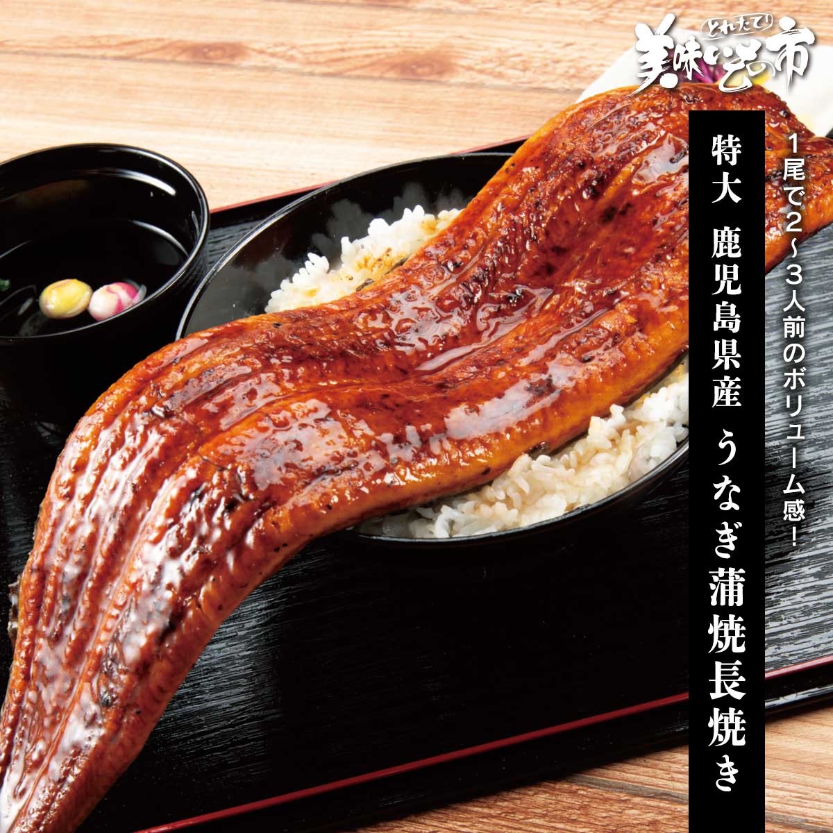 特大 鹿児島県産 うなぎ蒲焼長焼き 1尾「ねこぶだし」でおなじみ「とれたて！美味いもの市」から登場