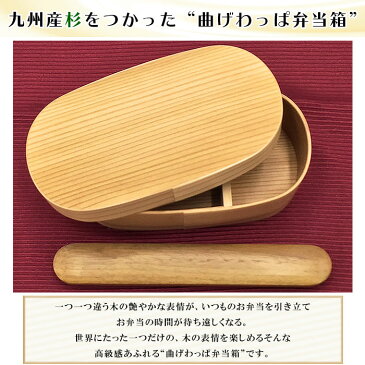 【送料無料】 国産杉 曲げわっぱ 楕円型弁当箱 600ml 杉柾目 楕円大 被せ蓋セット 仕切り付 おしゃれ 木製 日本製 曲げわっぱ弁当 小判型 お弁当箱 おべんとう 子ども ランチ 昼食 ナチュラル 魅せ弁 1段 わっぱ弁当 行楽 ピクニック シンプル まげわっぱ 女子 大人