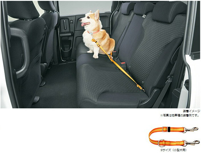 HONDA【ホンダ】純正用品 STEP WGN【ステップワゴン】ペット車外飛び出し防止リードSサイズ（小型犬） カー用品 車用品 部品 パーツ アクセサリ オプション