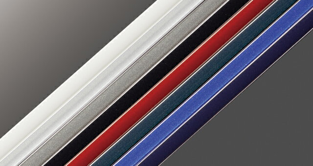 Rakuten - TOYOTA【トヨタ】PASSO【パッソ】700系ドアエッジプロテクター（樹脂製）リヤ用M700 純正 用品 部品 パーツ アクセサリ オプション 08265-48060-【宅配便 大サイズ】