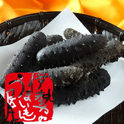【乾燥なまこ(4L)】伊勢志摩産・A級品100g【干しナマコ】【海参】