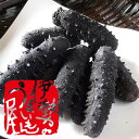 【乾燥なまこ（M）】2019年物伊勢志摩産・A級品100g｜干しナマコ｜海参｜干しなまこ