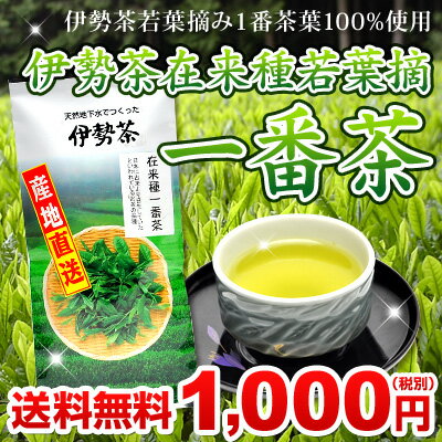 伊勢茶 在来種 若葉摘 一番茶 100g メール便 送料無料 （送料無 送料込 緑茶 煎茶 茶葉 お茶の葉 日本茶 テアニン カテキン おすすめ 国産 三重県産 伊勢 丸中製茶 ） 2