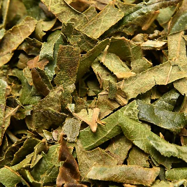 伊勢 丸中製茶 枇杷茶 100% びわ茶 100g （ ビワ 枇杷 琵琶 びわ びわの葉 茶 健康茶 茶葉 ）