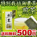 伊勢茶 特別栽培 無農薬 煎茶 パック 5g×15p メール便 送料無料 （ 送料無 送料込 無農薬茶 水だし 水出し お茶 緑茶 茶葉 お茶の葉 日本茶 一番茶 ティーバッグ ティーパック 美味しい おすすめ テアニン カテキン 国産 三重県産 伊勢 丸中製茶 ） 2