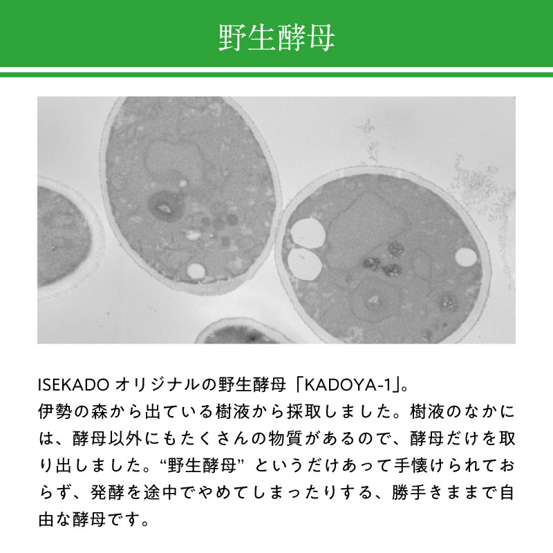 伊勢角屋麦酒 定番 クラフトビール 【 ヒメホワイト 】 単品 瓶 330ml 冷蔵 1本 3本 6本 12本 セット ギフト プレゼント 贈答 野生酵母 himewhite 酒 三重 伊勢 地ビール ビール 伊勢角 isekado イセカド お取り寄せ おしゃれ ゆず isekadoyabeer-10000188 ISEKADO【公式】楽天市場店 サンプル画像3