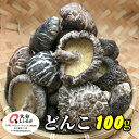 干し椎茸 大分産 どんこ 100g(干しシイタケ 干ししいたけ 乾しいたけ 乾燥シイタケ 乾燥椎茸 大分県産 国産 原木)